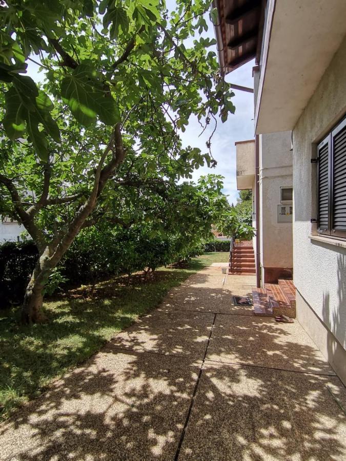 רוביני Apartments Figa מראה חיצוני תמונה